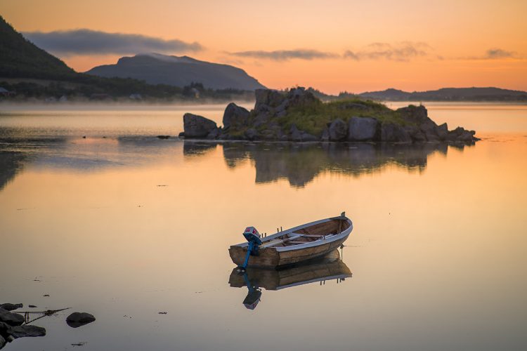 Solen skinner essay picture